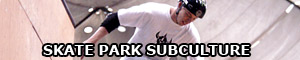 The skate park subculture
