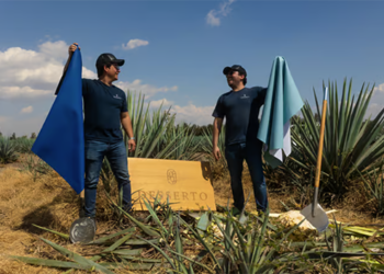 DESSERTO AGAVE – СЪЗДАВАНЕ НА ЕКОЛОГИЧНИ СЪОБРАЗЕНИ ПРОДУКТИ