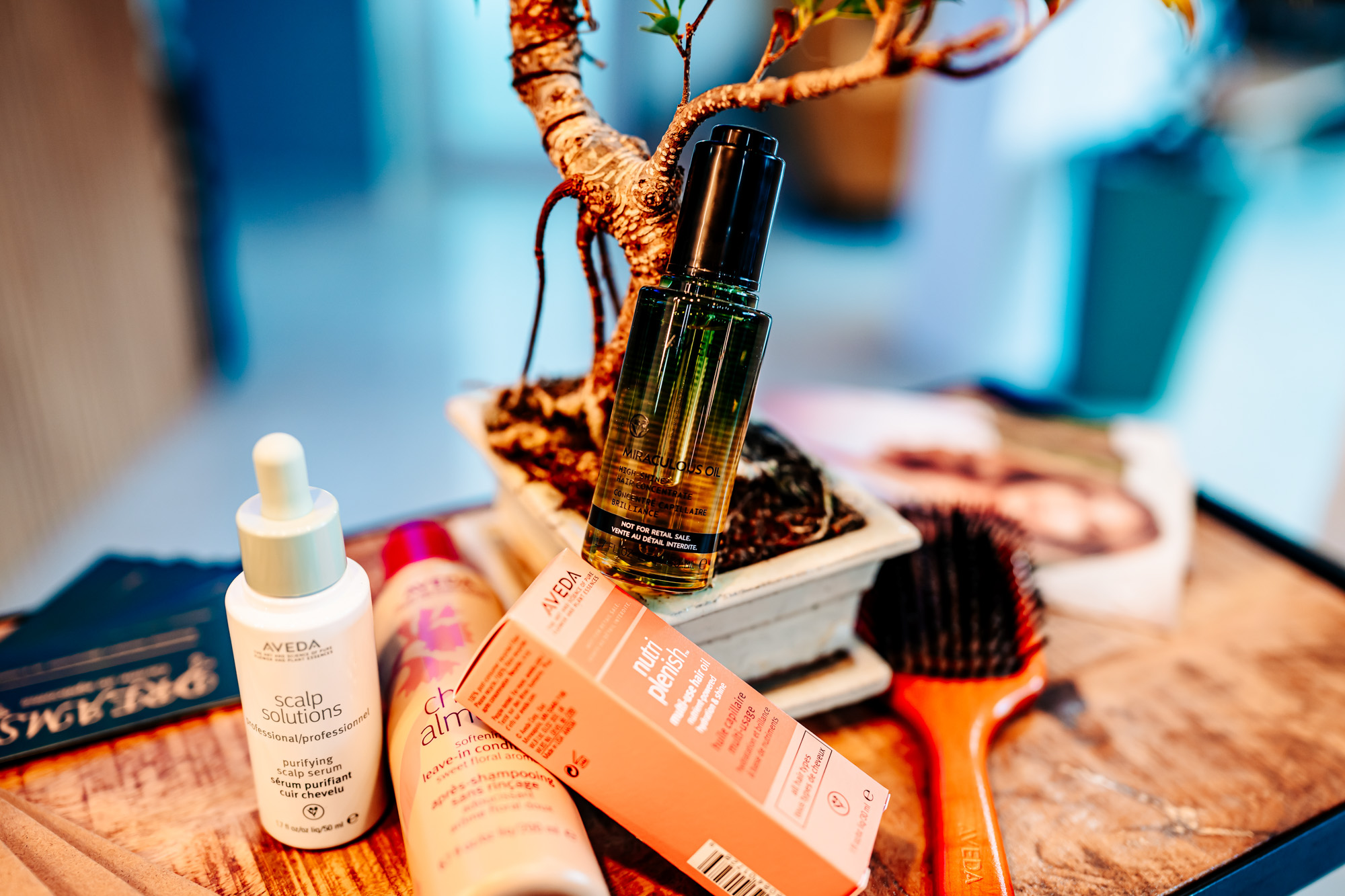 DREAMS S&F – София. Фото: Dreamssf